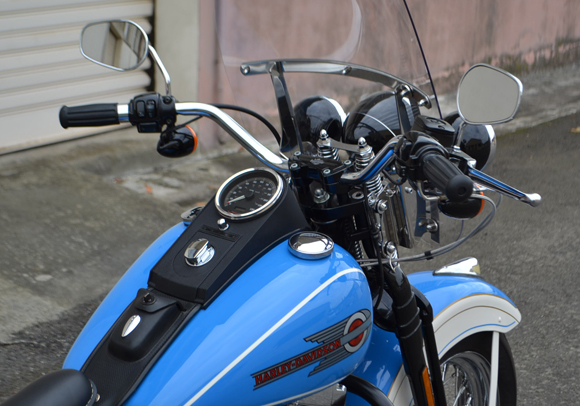 knucklehead springer