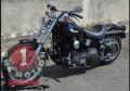 FXST Softail Night Train