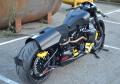 Softail Project 59 Shaw Speed & Custom