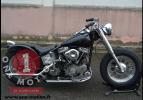 HD Panhead Bobber