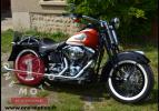 Harley Davidson Softail Springer 06