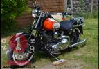 Harley Davidson Softail Springer 06