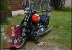 Harley Davidson Softail Springer 06