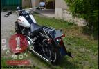 Harley Davidson Softail Springer 06