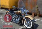 Softail Deluxe 2014 Custom Color